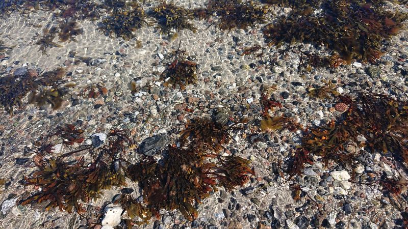 Viewing photos→Misc→2020→028