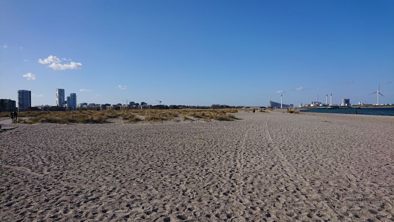 Viewing photos→Misc→2020→029