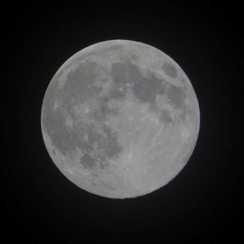 Viewing photos→Misc→2020→031