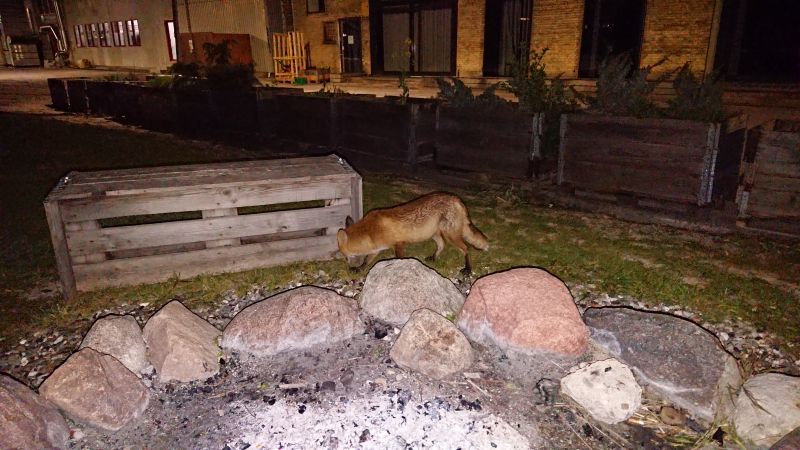 Viewing photos→Misc→2020→051