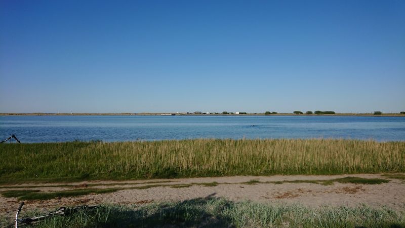 Viewing photos→Misc→2020→055