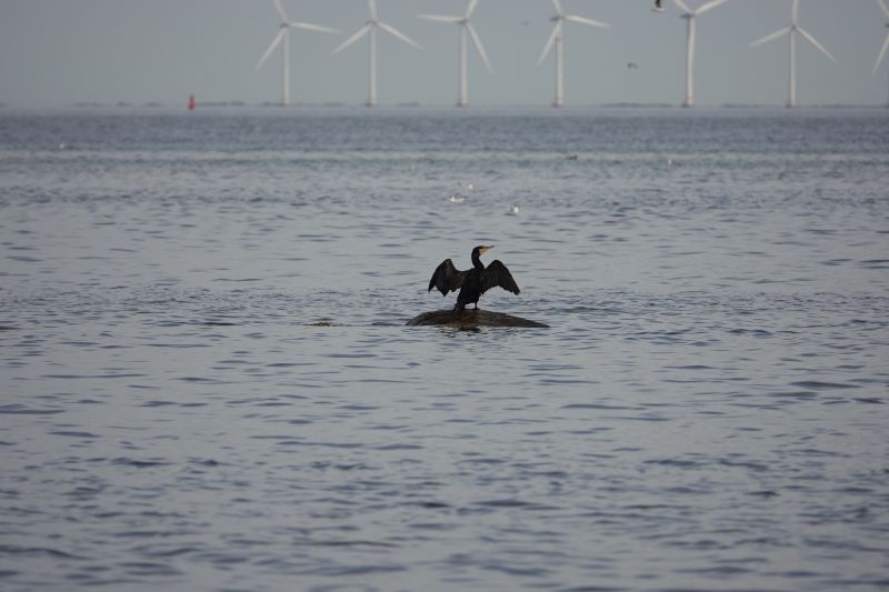 Viewing photos→Misc→2020→069