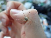 094.jpg - 2020:08:15 16:08:14