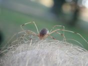 095.jpg - 2020:08:15 16:09:46