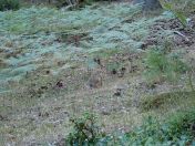 096.jpg - 2020:08:16 17:58:34