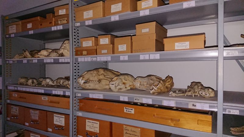 Viewing photos→Misc→2020→109