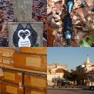 2021<br/>
<b>2021 pictures</b>
