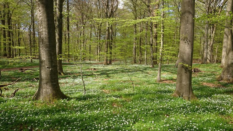 Viewing photos→Misc→2021→039