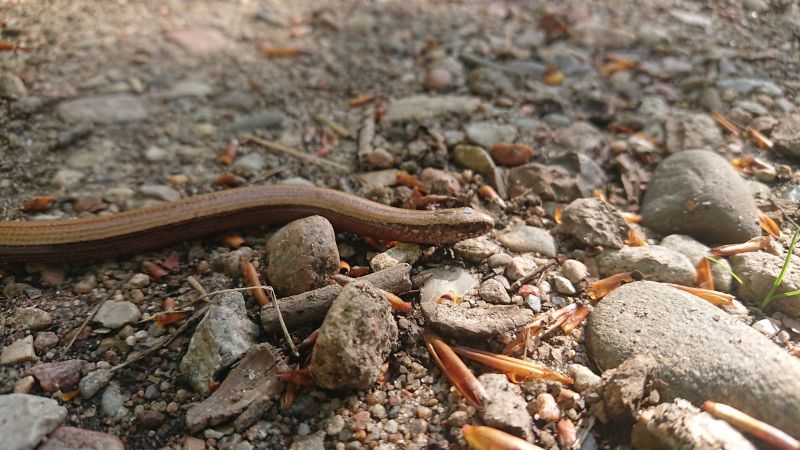 Viewing photos→Misc→2021→044