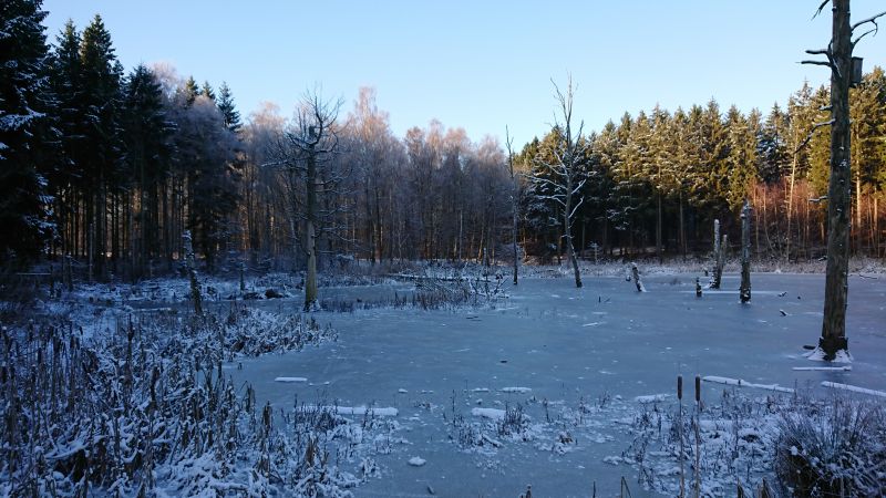 Viewing photos→Misc→2021→108