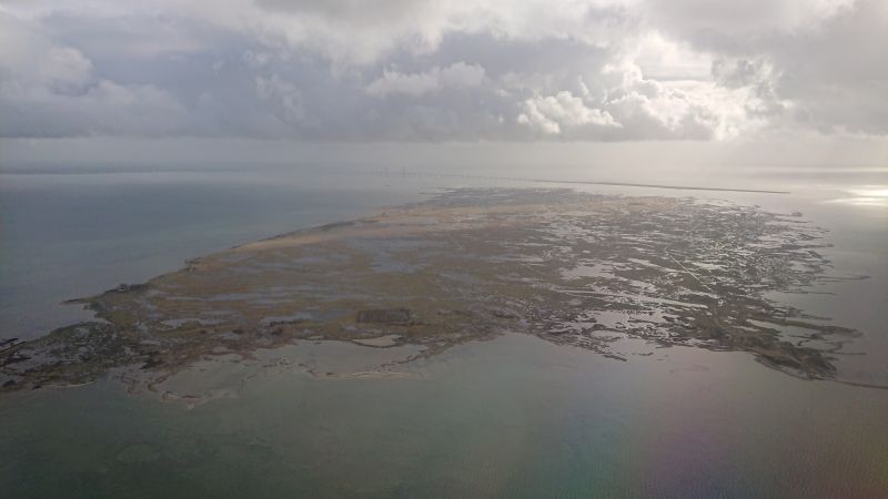 Viewing photos→Misc→2022→09