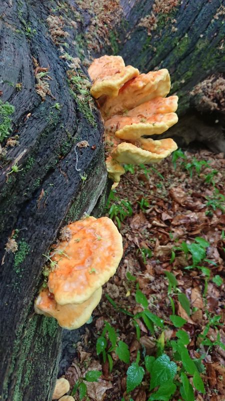 Viewing photos→Misc→2022→24