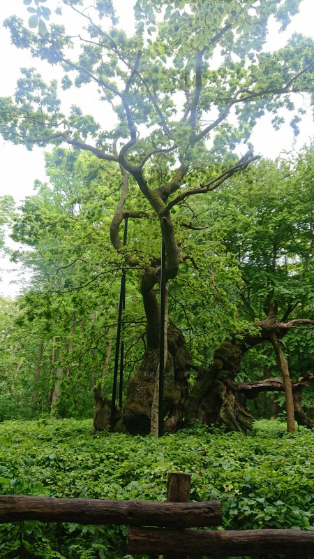 Viewing photos→Misc→2022→25