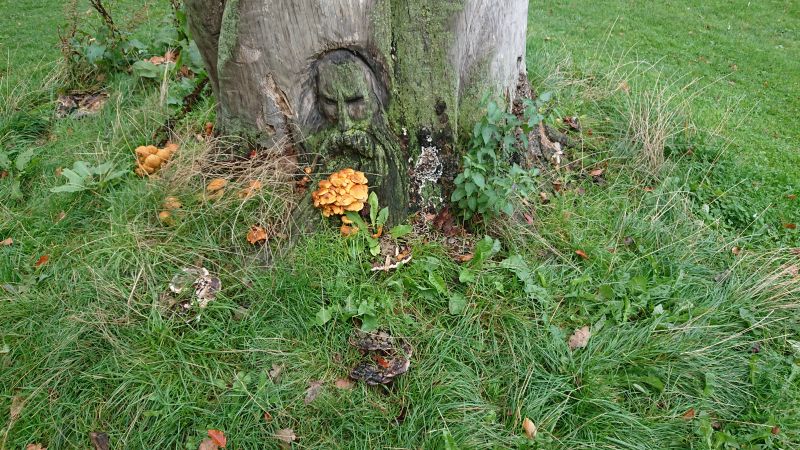 Viewing photos→Misc→2022→61