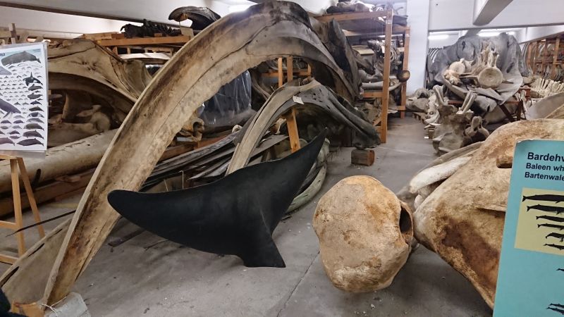 Viewing photos→Misc→2022→64