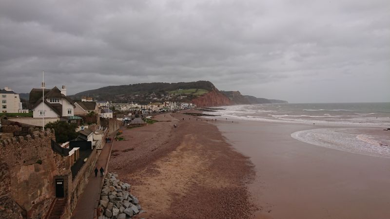 Viewing photos→Misc→2022→81