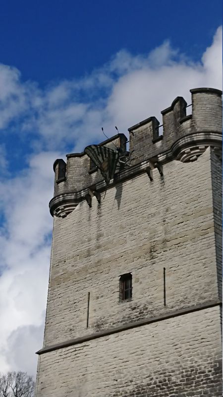 Viewing photos→Misc→2023→006