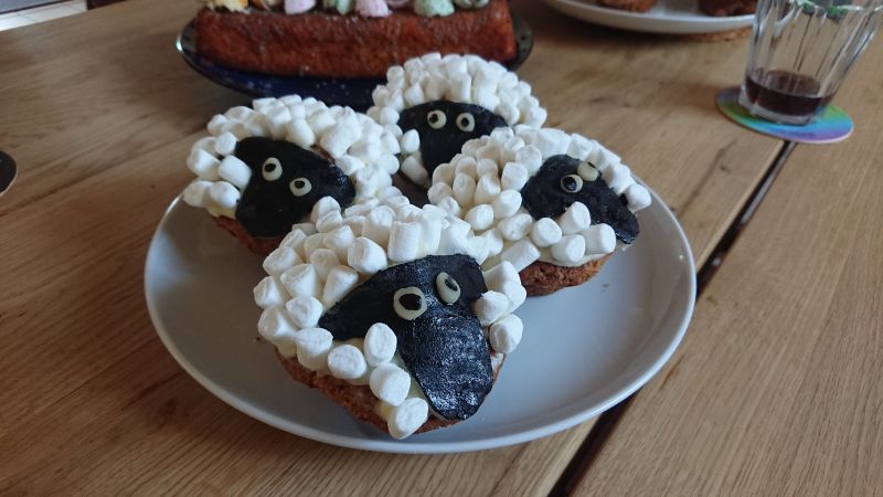 Viewing photos→Misc→2023→013