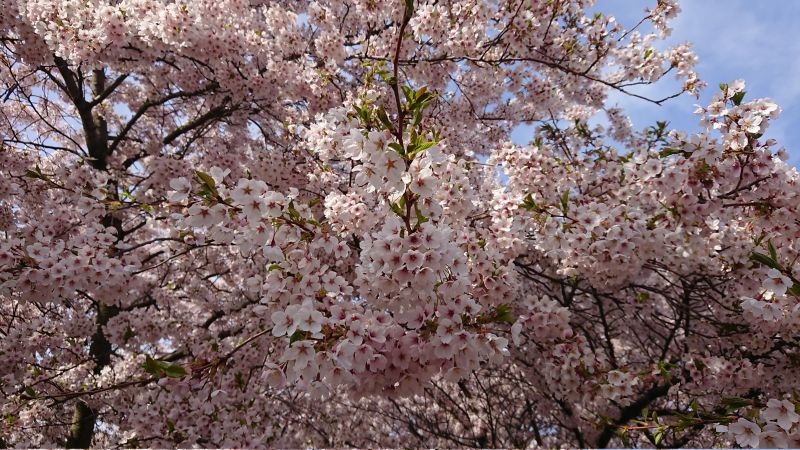 Viewing photos→Misc→2023→018