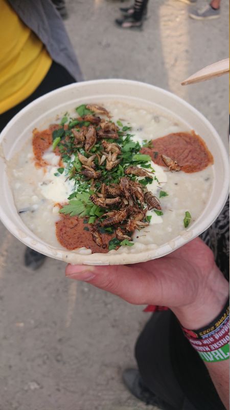 Viewing photos→Misc→2023→049