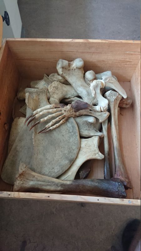 Viewing photos→Misc→2023→051