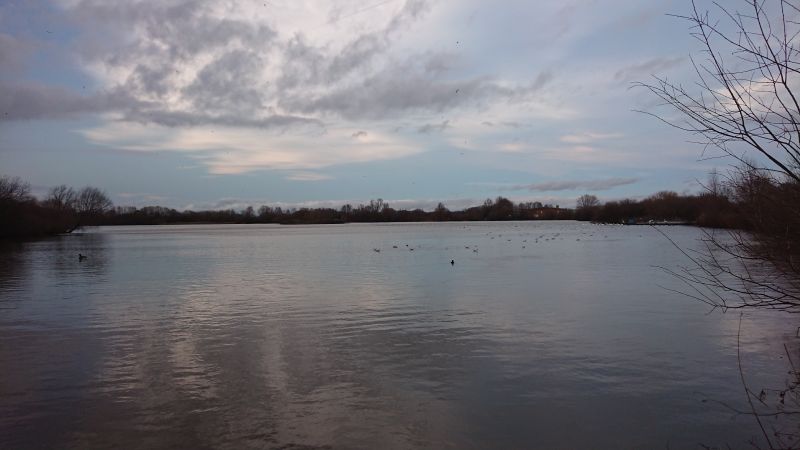 Viewing photos→Misc→2023→089